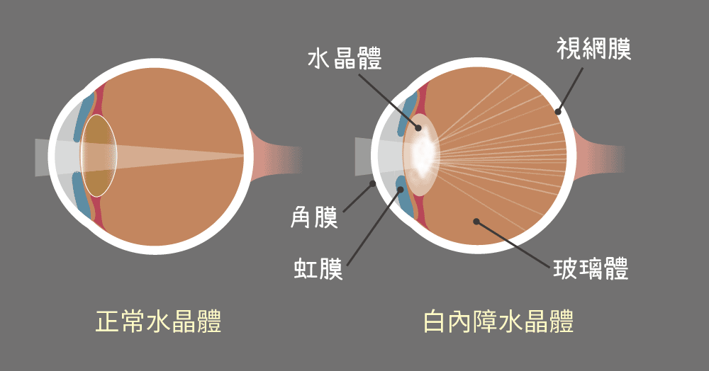 微信图片_20240606140428.png