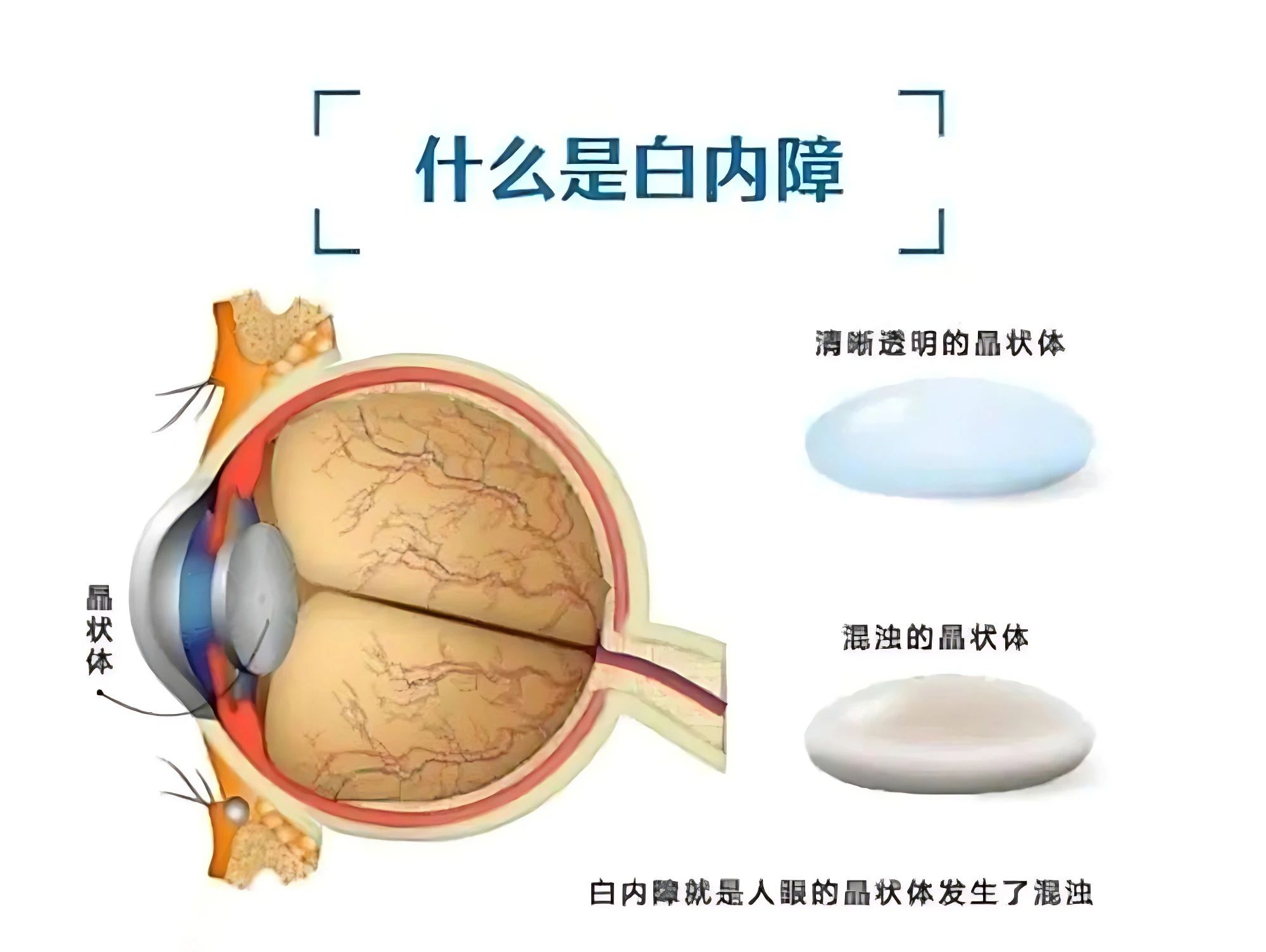 微信图片_20240606164504.jpg