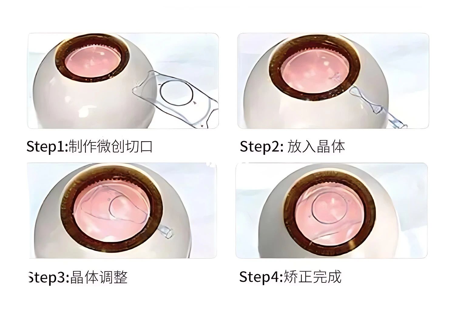 微信图片_20240617164131.jpg