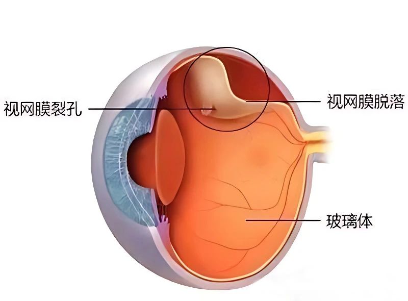微信图片_20240705145718.jpg